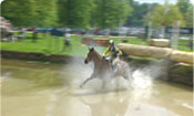 Chatsworth Show Jumping